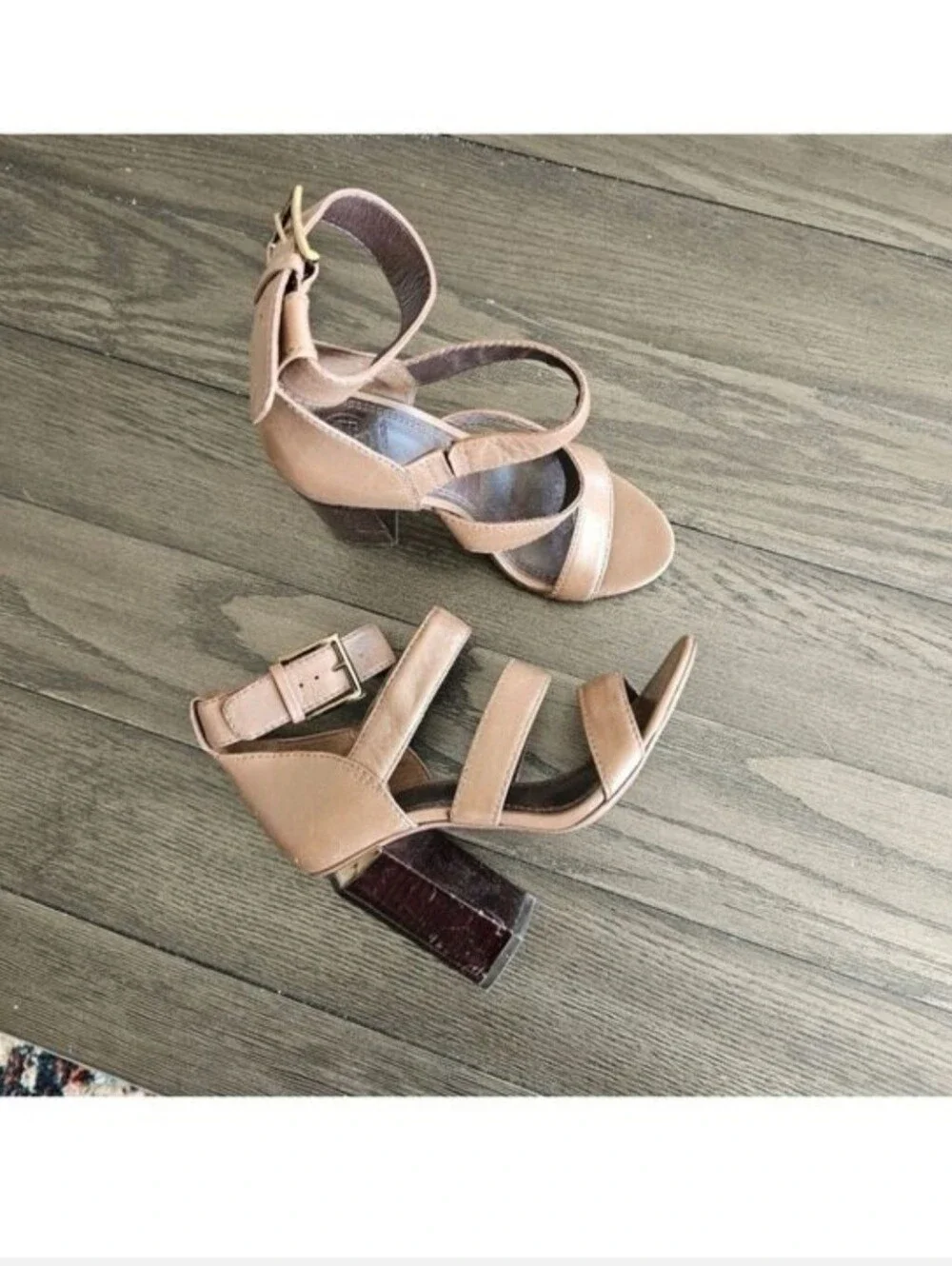 Tory Burch only reposhed